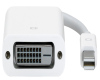 Apple Mini DisplayPort to DVI Adapter