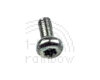 PowerBook Screw, Speak/Bright/Vol Assy, T8 7.3mm (3400,G3 Kanga)