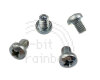 PowerBook Screws, Hard Drive, Silver 5.8mm x4